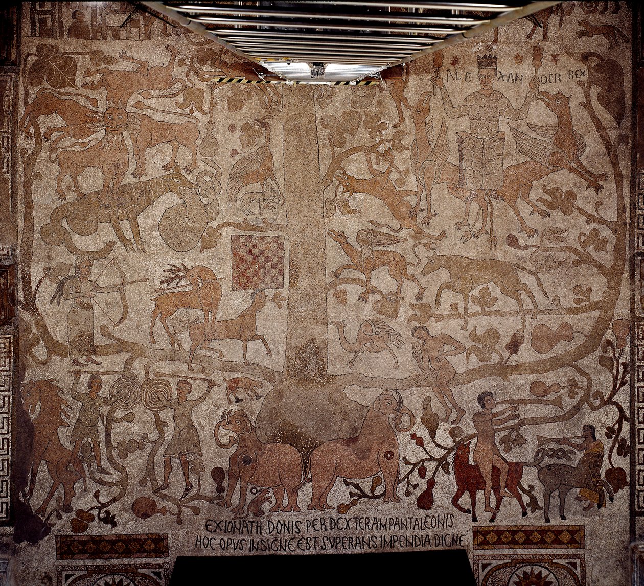 亚历山大大帝（公元前 356-323 年），马其顿国王和波斯征服者的代表，右边是征服印度期间的印度动物群，左边是戴安娜猎鹿和摔跤手，这是基督教的象征。 Pantaleone 路面（或 Pa 作者 未知艺术家