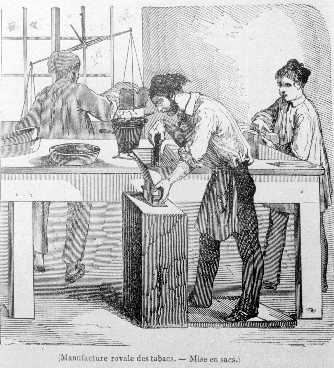 Royal Tobacco Manufacture：烟草袋。 19 世纪雕刻。 作者 未知艺术家