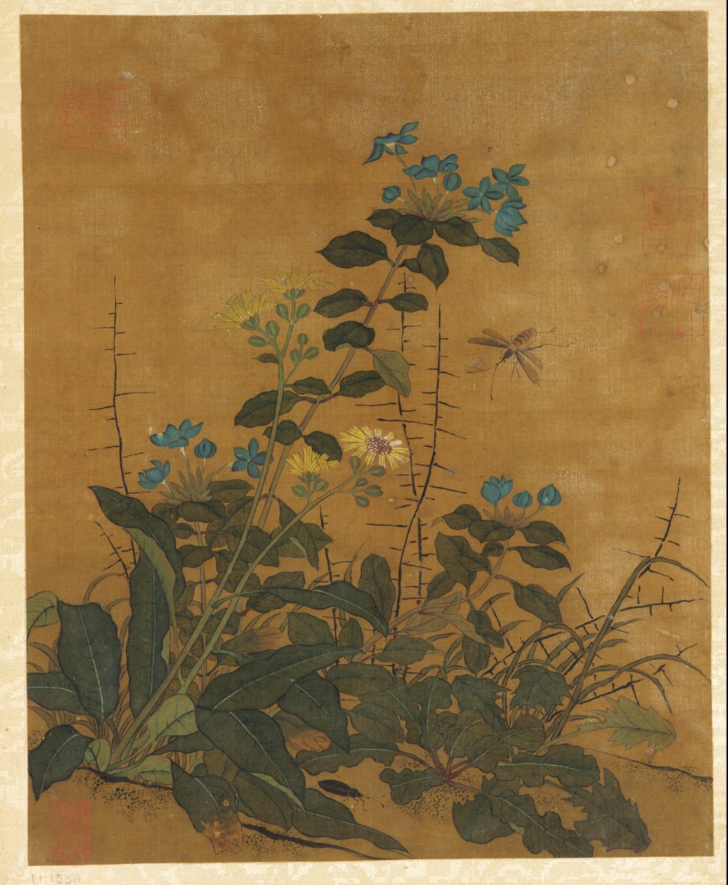 十幅花卉、水果和鸟类图片 作者 未知艺术家