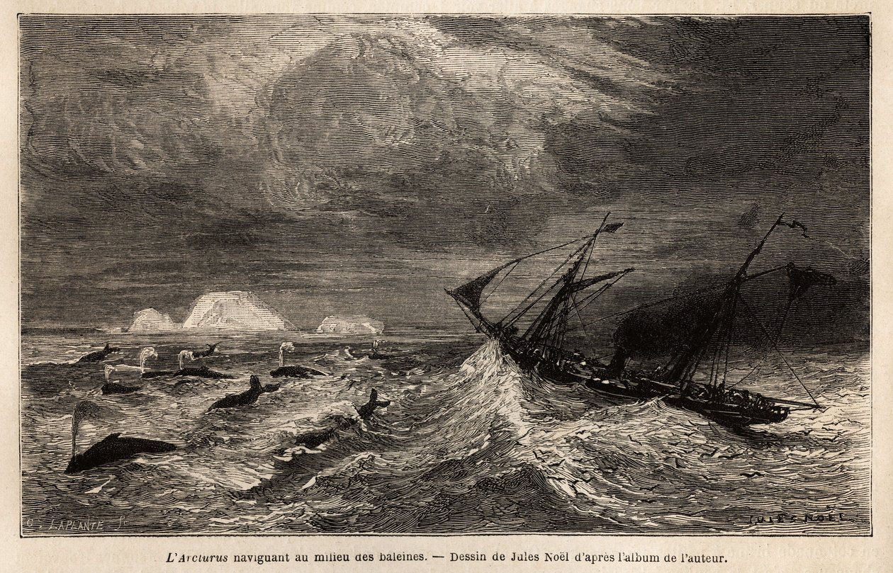 The Arcturus, a Danish liner serving between Copenhagen and Iceland, on which the author embarks to reach Reykjavik, sailing among the whales. Engraving to illustrate the voyage in Iceland, story by Noel Nougaret, in 1866, published in “” Le tour du monde, 作者 未知艺术家