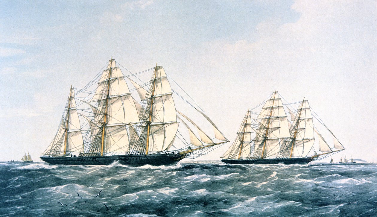 1866 年“Ariel”和“Taeping”之间的大帆船赛将新的茶叶作物从中国带到伦敦（彩色石版画） 作者 未知艺术家