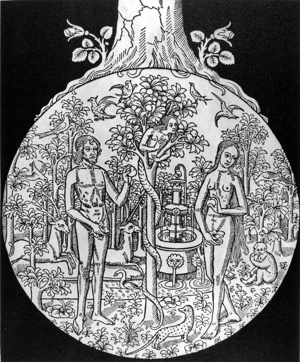 The Tree of Science (Adam and Eve in Paradise) - engraving, deb. 16th century, in “” L
