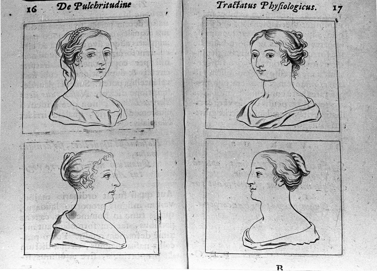 取自“Tractatus physiologicus de pulchritudine”的不同女性形象佩奇讲述了埃内斯托·维尼奥 (Ernestus Vaenius) 捍卫创造之美对抗匿名对手的故事。 1612 作者 未知艺术家