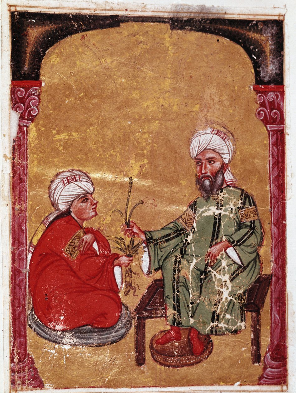 The doctor and botanist Pedanius Dioscoride (Pedanius Dioscorides) (40-90 AD) sitting with one of his students Miniature from his treatise “De materia medica”” (ms Ahmed III, 2147, folio 217a) 1229 Topkapi Sarayi Museum Library, Istanbul 作者 未知艺术家