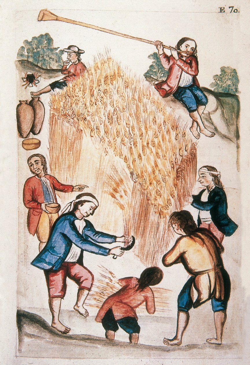 收获，摘自特鲁希略主教巴尔塔萨-马丁内斯-孔帕尼翁（Baltazar Martinez Compañón y Bujanda）的《秘鲁特鲁希略》或《马丁内斯-孔帕尼翁》一书（1782-1785）。 作者 未知艺术家