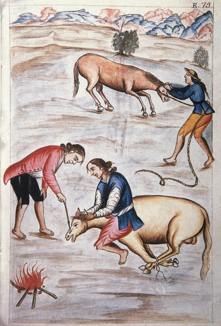 The red iron branding of a mare, from the book "Trujillo del Peru" or "Códice Martínez Compañón", by Baltazar Martinez Compañón y Bujanda, bishop of Trujillo (1782-1785) 作者 未知艺术家