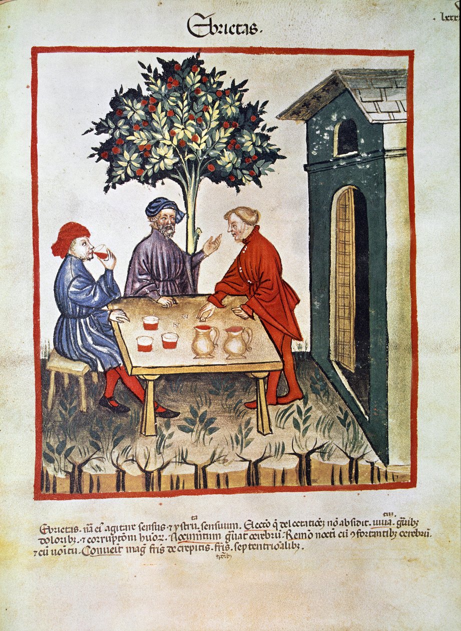 治疗药物：“醉酒””页面取自“”Tacuinum sanitatis”（Cod. ser. nov. 2644）1400 年左右维也纳，Osterreischische Nationalbibliothek 作者 未知艺术家
