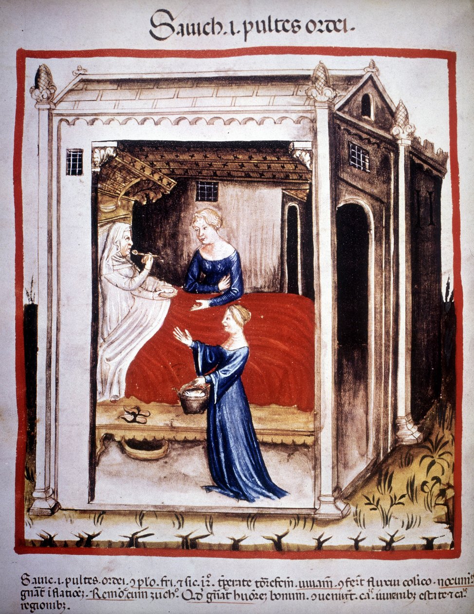 Treatise of medicine “” Tacuinum sanitatis””” 14th century: a patient assisted by nurses. B.N, Vienna. 作者 未知艺术家