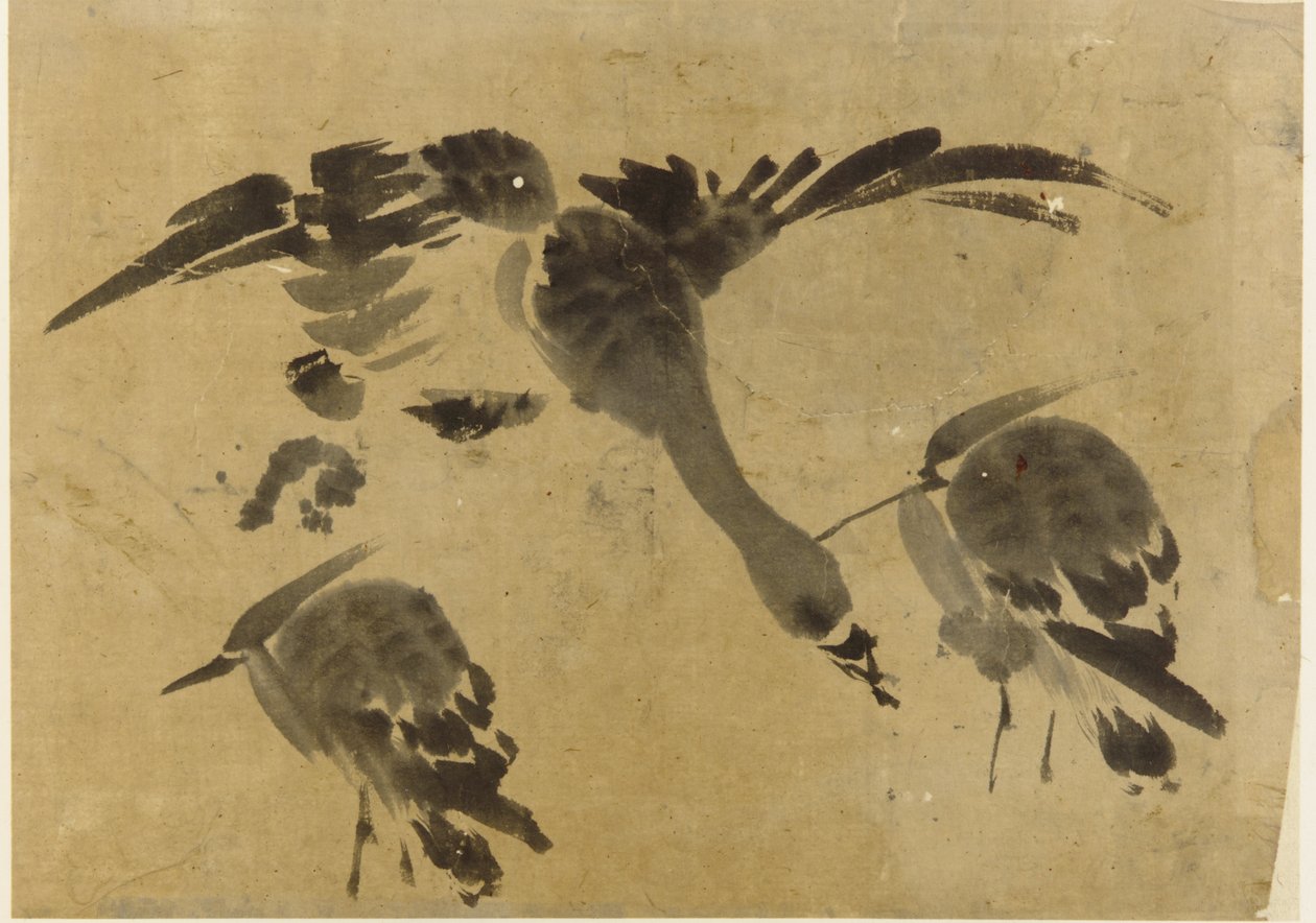 两鹭一鹅 作者 未知艺术家