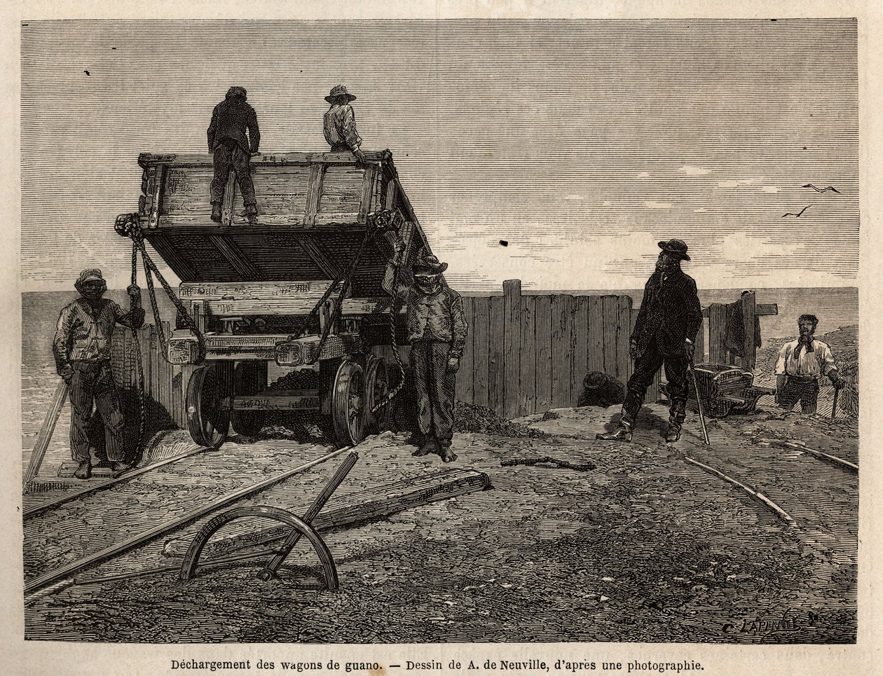 Unloading of guano wagons in the Chincha Islands (Pacific Ocean, near the south-west coast of Peru), whose main interest was the exploitation of guano deposits (used as fertilizer), deposits on granite cliffs serving as a refuge for a wide variety of seabi 作者 未知艺术家