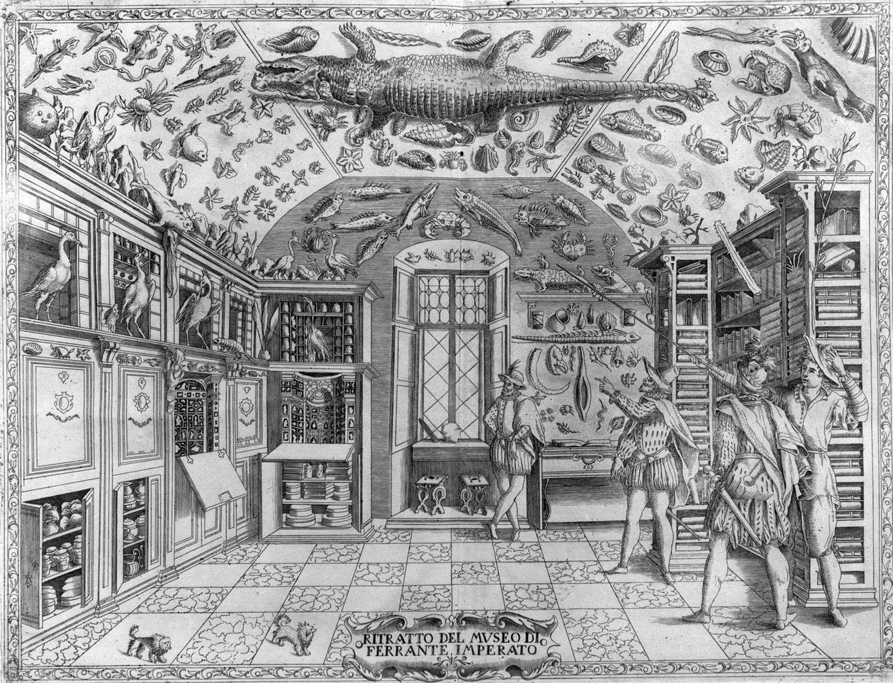 药剂师费兰特-因佩拉托（1550 - 1631）的奇珍异宝博物馆（橱柜）景观。1678年的版画。那不勒斯药剂师费兰特-因佩拉托的博物馆。 作者 未知艺术家