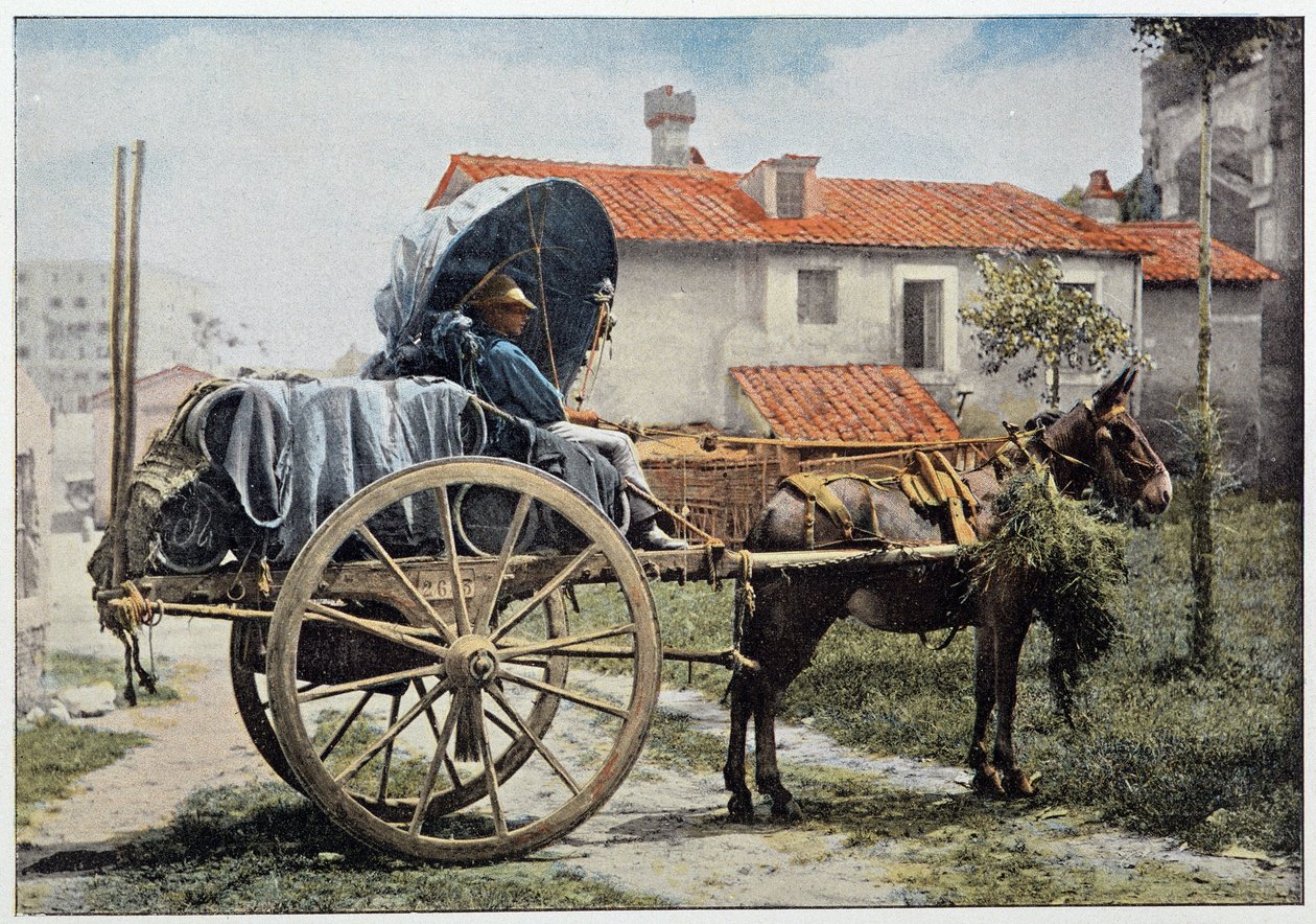 A carter carrying his wine. Rome, Italy, late 19th century. 作者 未知的摄影师