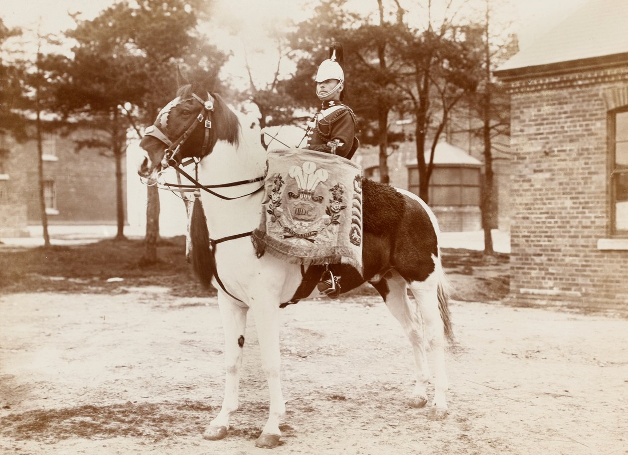 威尔士三世亲王的龙骑兵卫队的鼓马，大约1895年 作者 未知的摄影师