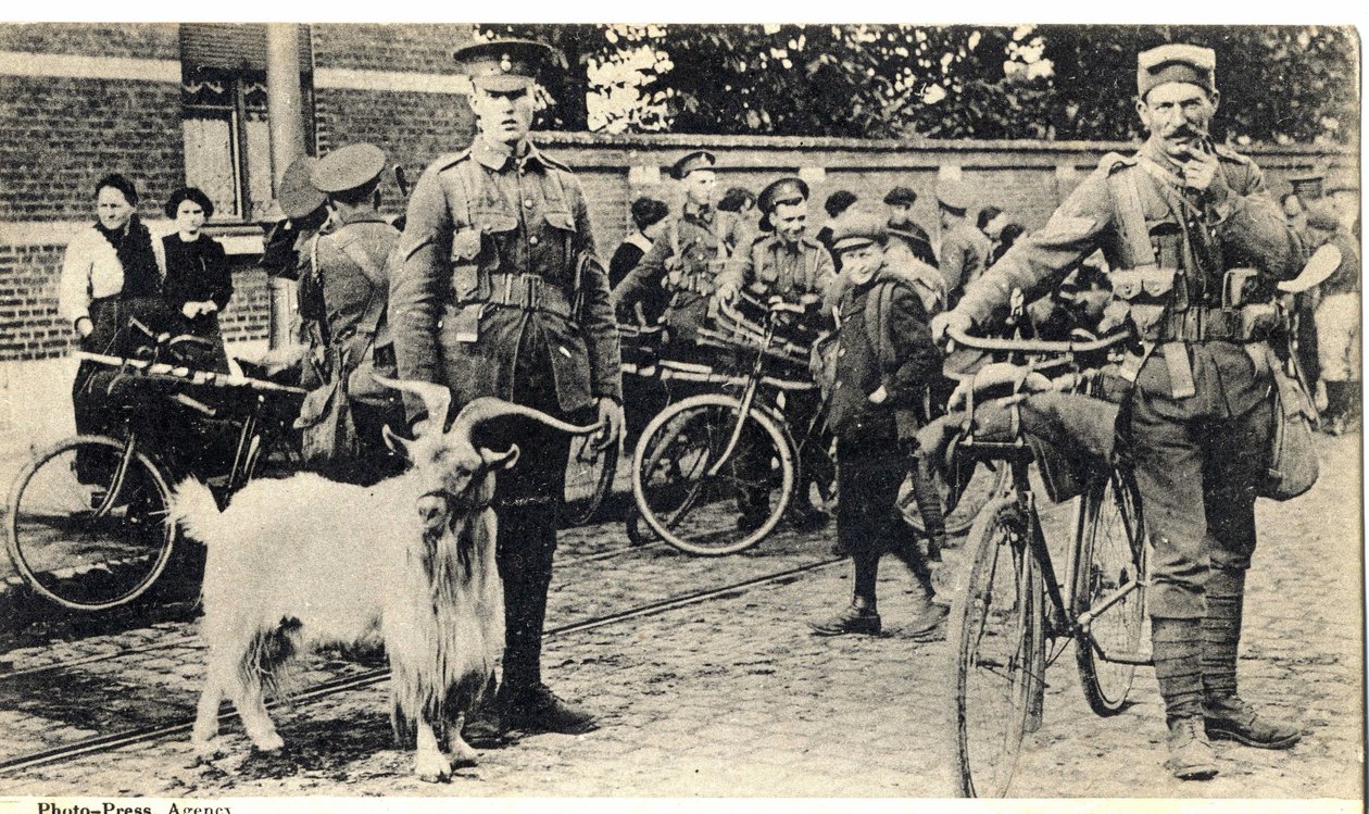 加特：第一次世界大战（1914-1918 年）期间士兵的吉祥物。 作者 未知的摄影师