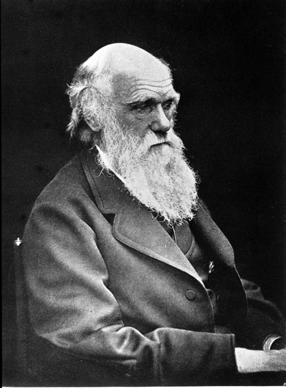 英国博物学家查尔斯·达尔文 (1809 - 1882) 的肖像照。 1881年 作者 未知的摄影师