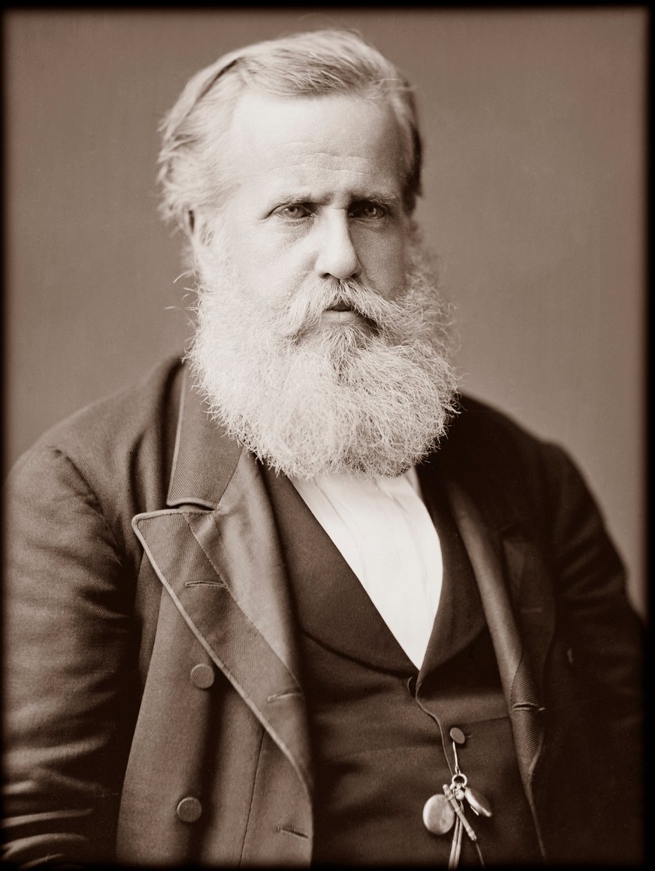 佩德罗二世（Peter II）（彼得二世）（Dom Pedro de Alcantara）（1825-1891）的肖像，巴西皇帝 作者 未知的摄影师