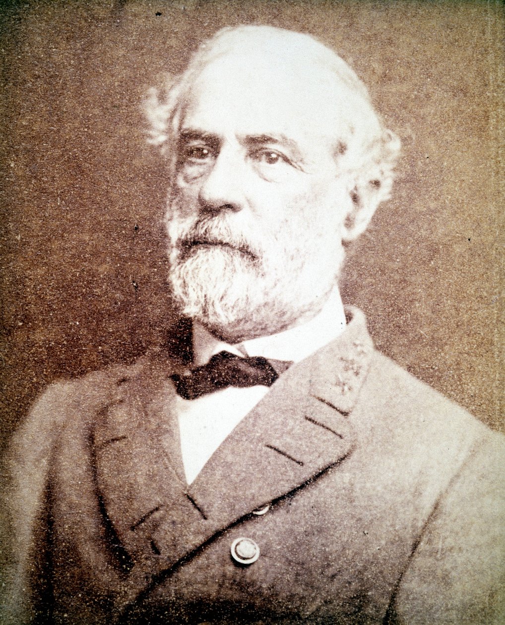 李将军 (1807 - 1870) 的肖像，他指挥北弗吉尼亚撕裂队参加了南北战争。 作者 未知的摄影师