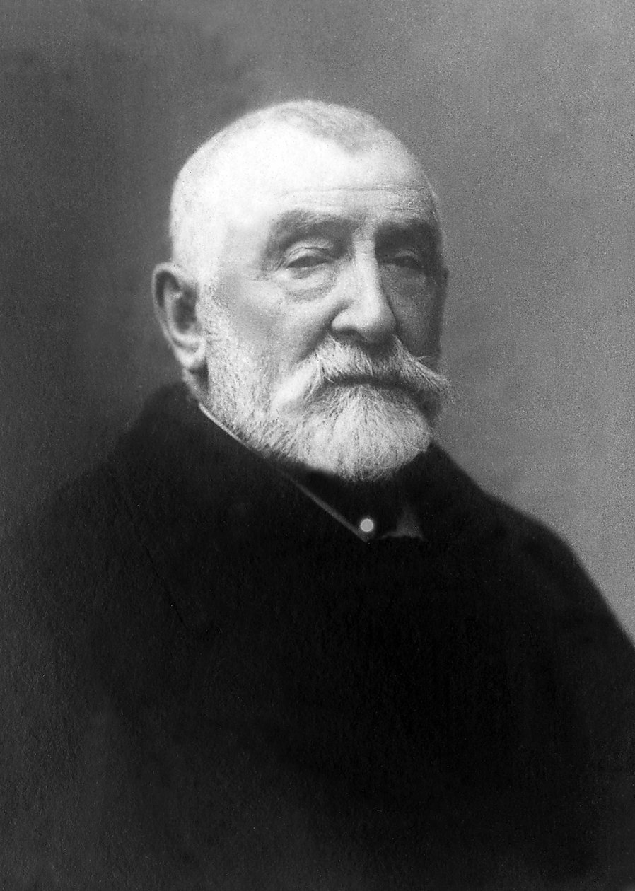 Henri Joseph Harpignies (1819-1916) 的肖像，法国画家和水彩画家。 作者 未知的摄影师