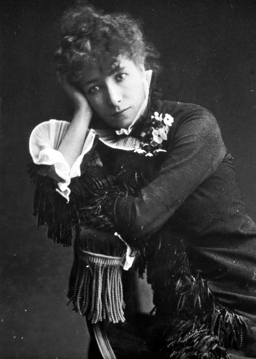 Henriette Rosine Bernard 又名 Sarah Bernhardt (1844-1923) 的肖像 作者 未知的摄影师