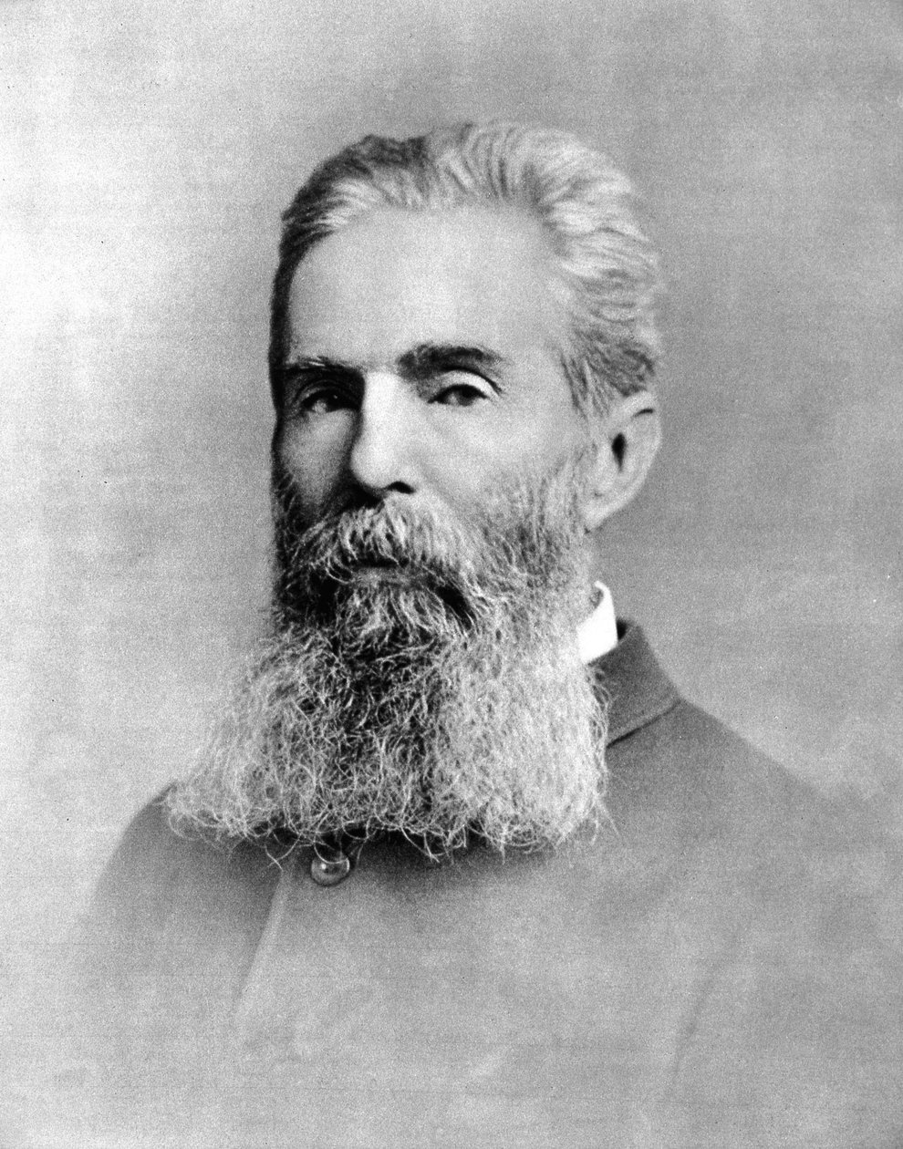 Herman Melville (1819 -1891) 美国小说家的肖像。 作者 未知的摄影师