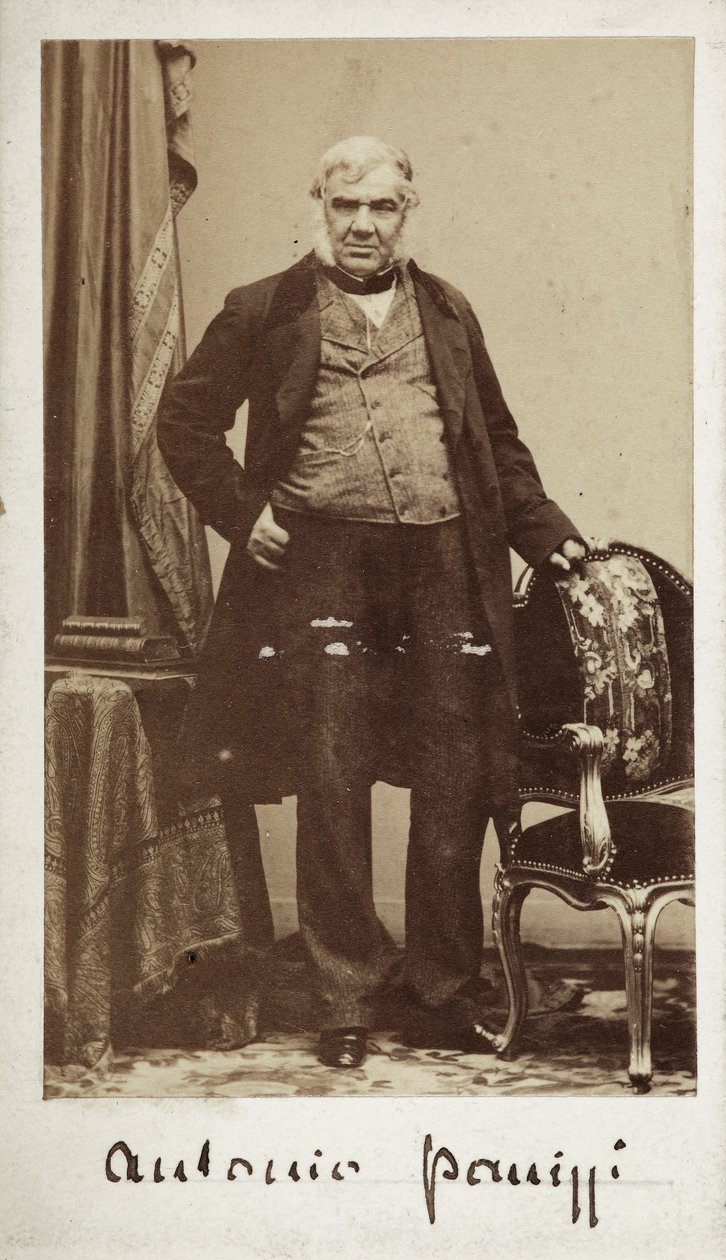参议员安东尼奥-帕尼兹（1797-1879 年）大英博物馆图书馆馆长肖像 作者 未知的摄影师