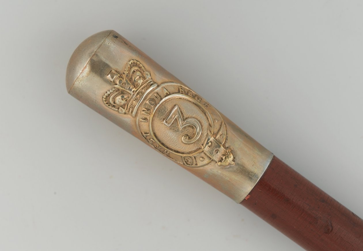Regimental cane, 3rd West India Regiment 作者 未知的摄影师