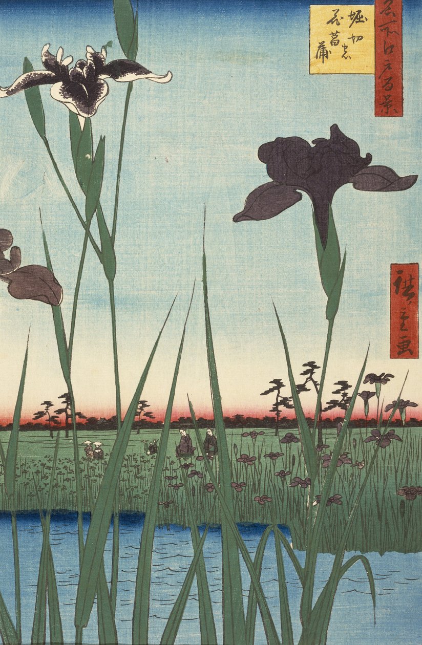 堀江鸢尾花园（Horikiri no hanashbu），来自江户的一百个着名景观系列（Meish ... 作者 歌川宏重