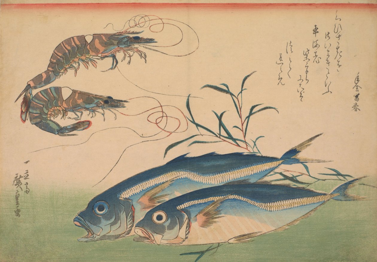 马鲭鱼（Aji）用虾或虾，与题字 作者 歌川宏重