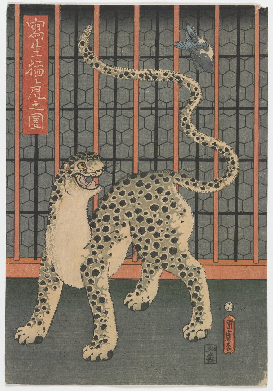 生活中的豹子，江户时代，1860年（彩色木版画） 作者 歌川国丸
