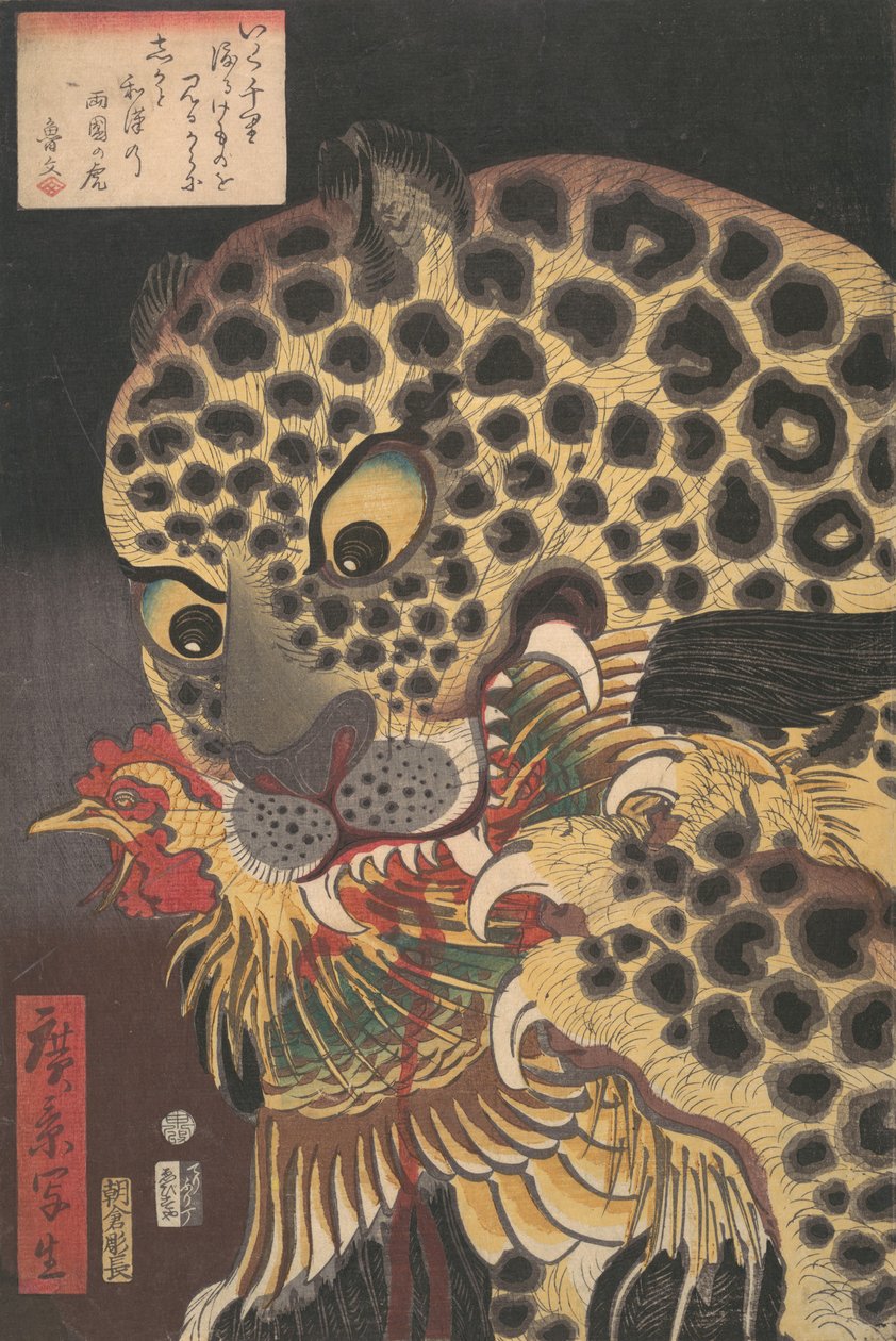 "两国之虎"，出自广濑的《真实场景》系列，1860年8月、 作者 歌川广影