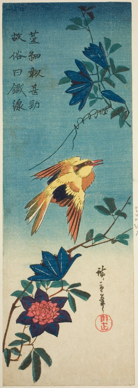 (黑枕黄鹂和铁线莲（传真件？ 作者 歌川宏重