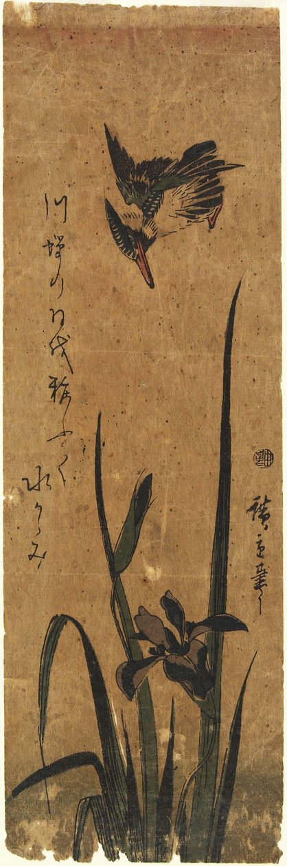 （Iris and Kingfisher），1830-1858 作者 歌川宏重