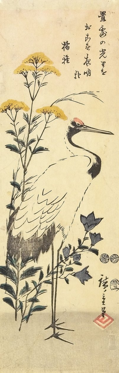（Patrinia，中国风铃草和鹤），1853年3月 作者 歌川宏重