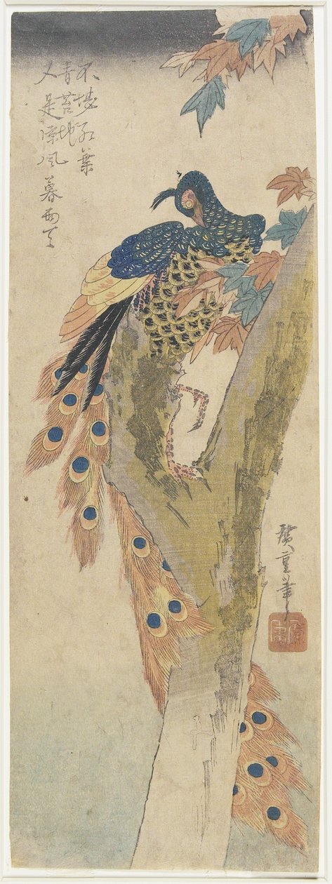（枫树上的孔雀），19世纪初 作者 歌川宏重