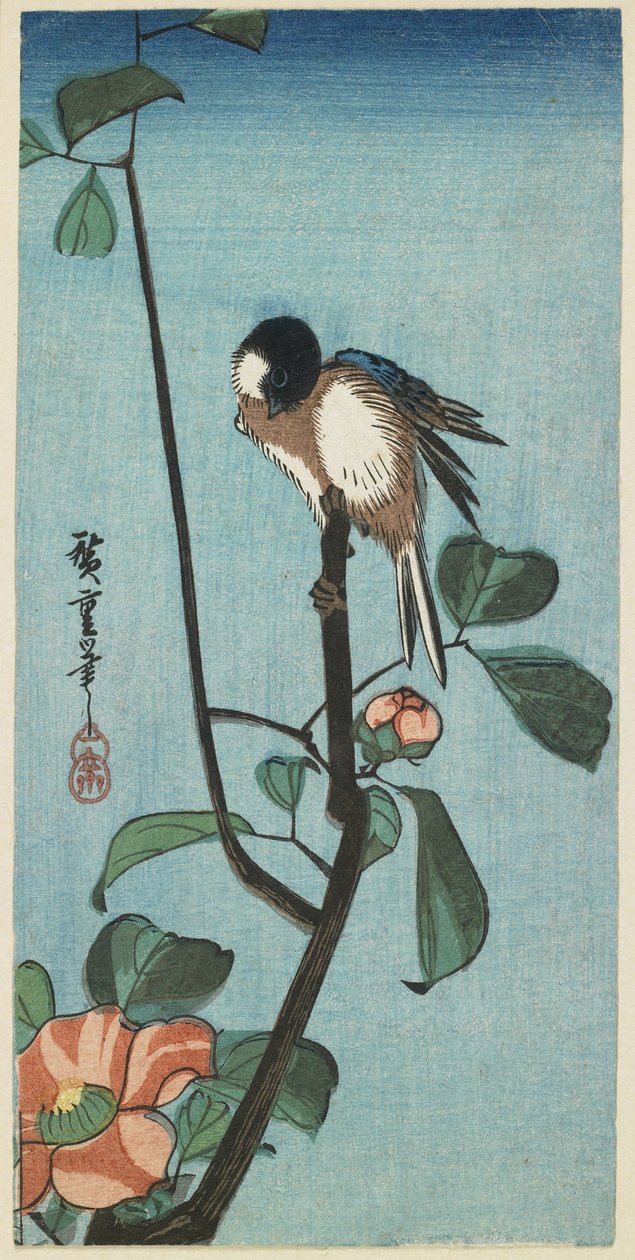 （喀麦莉山雀），1830-1858 作者 歌川宏重