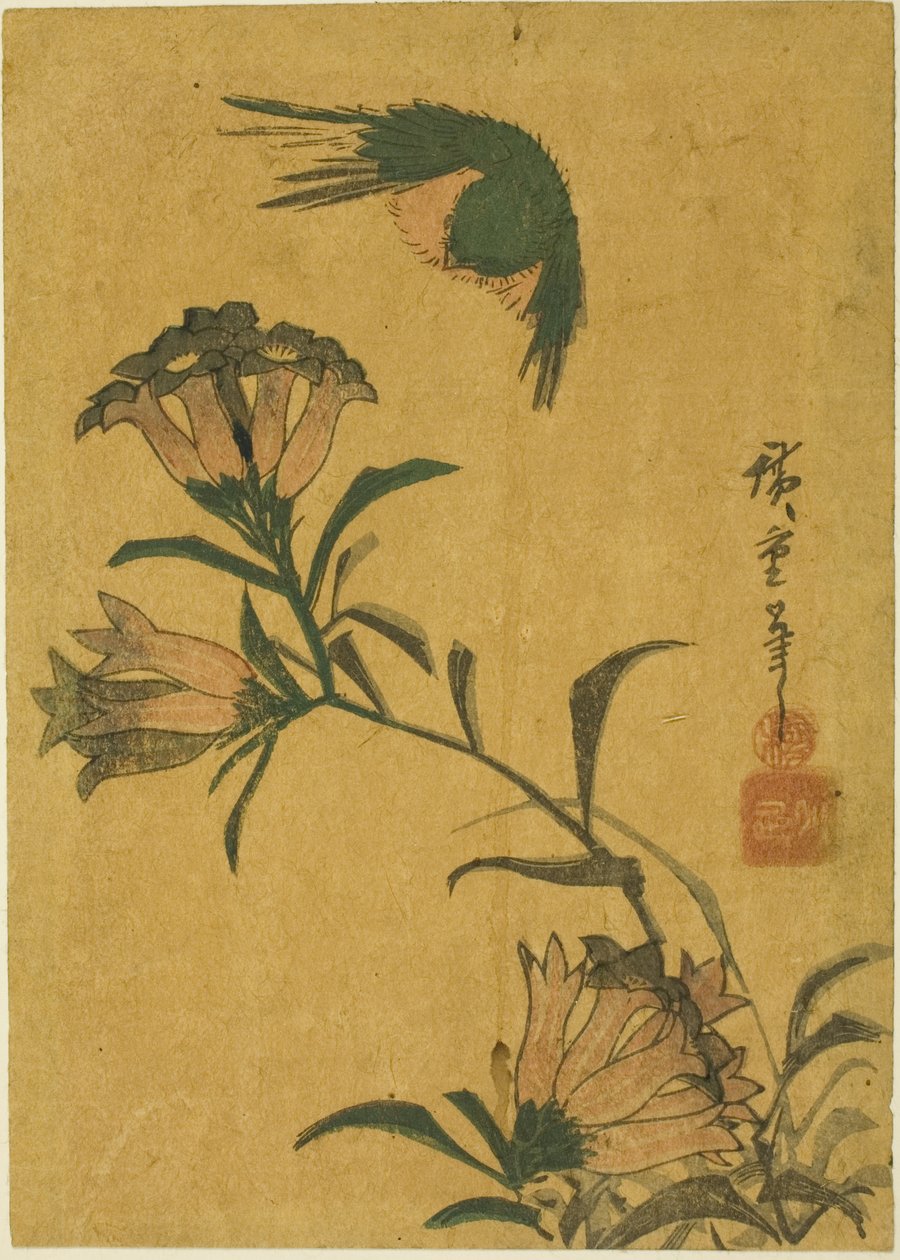 鸟和龙胆 作者 歌川宏重