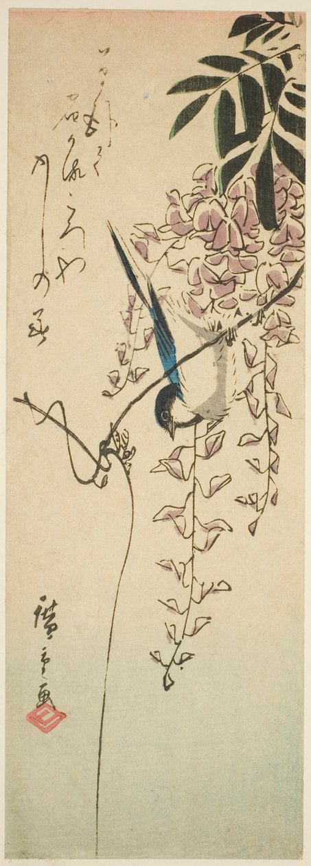 紫藤上的鸟 作者 歌川宏重