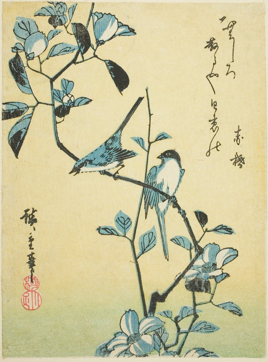 山茶花枝上的鸟儿 作者 歌川宏重