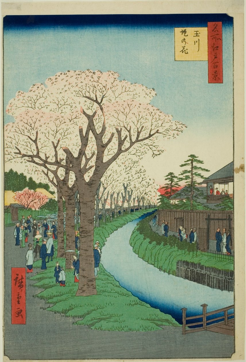 多摩川堤岸上的花朵（玉川堤岸之花），选自 "江户百景（名所江户百景）"系列 作者 歌川宏重