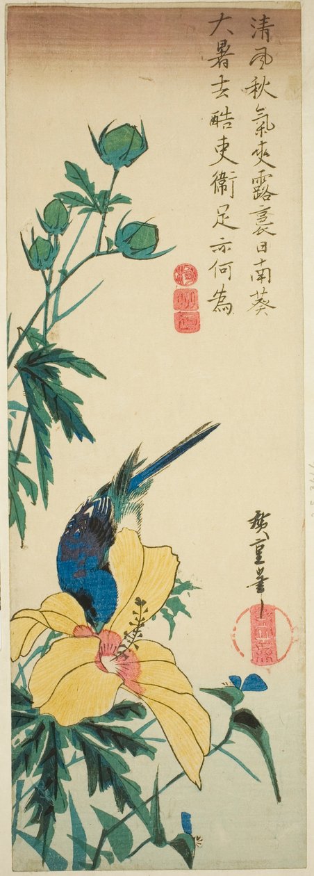 青鸟与芙蓉 作者 歌川宏重