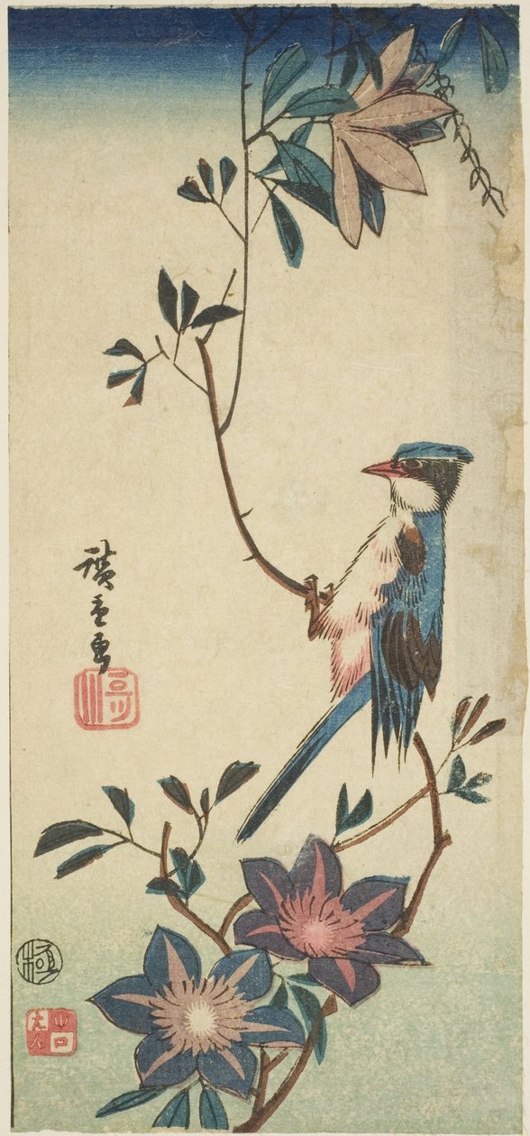 铁线莲上的蓝鸟 作者 歌川宏重