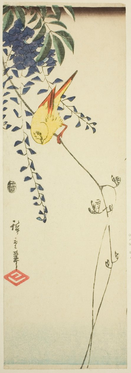 金丝雀和紫藤 作者 歌川宏重