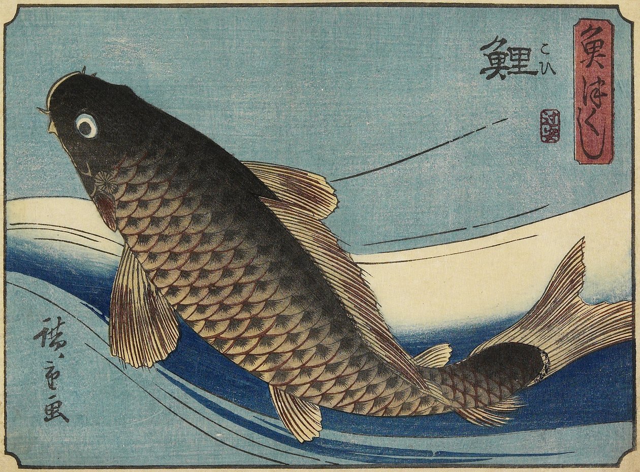 鲤鱼，1830-1844 作者 歌川宏重
