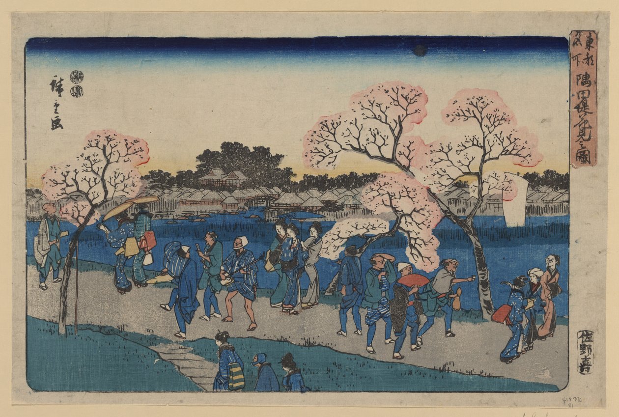 S田川沿岸的樱花。 作者 歌川宏重