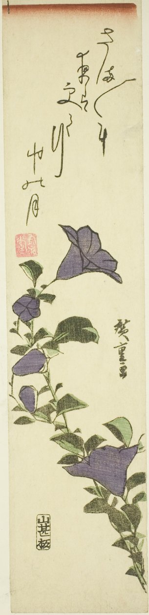 中国钟花 作者 歌川宏重