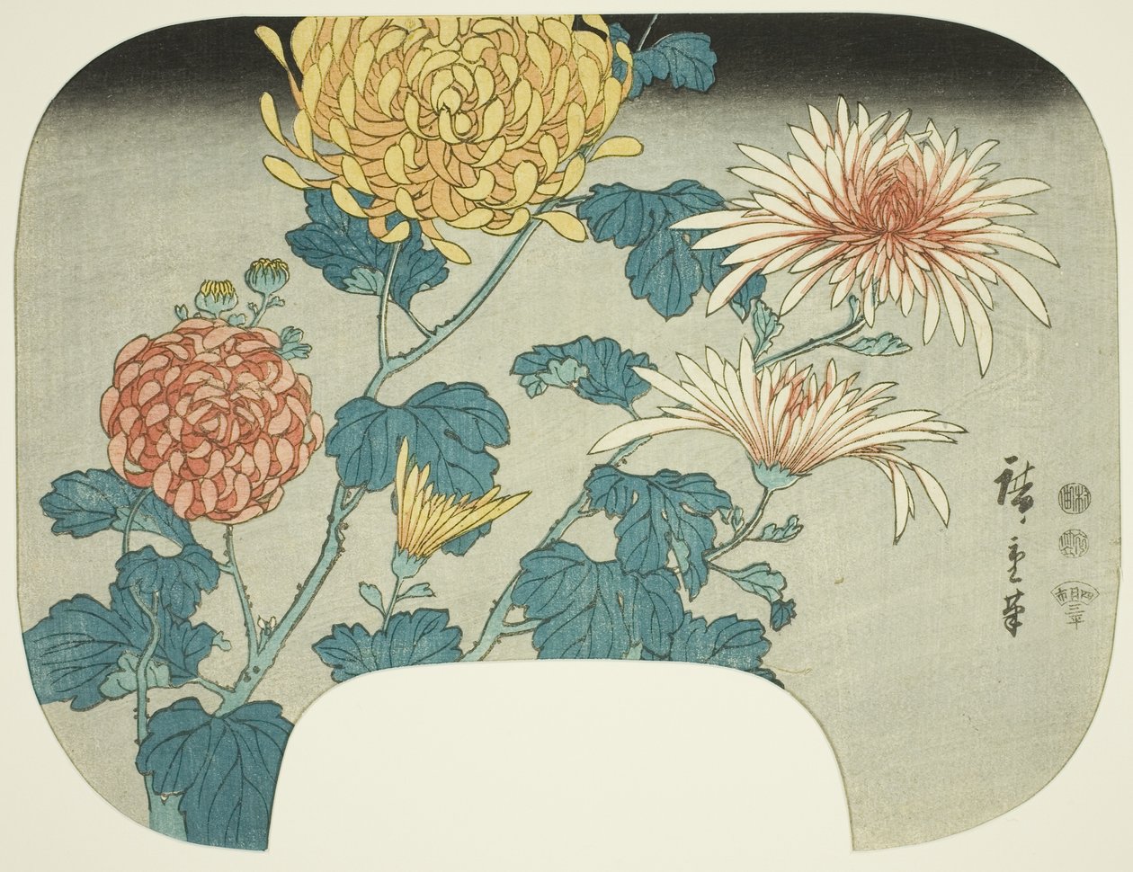 菊花 作者 歌川宏重