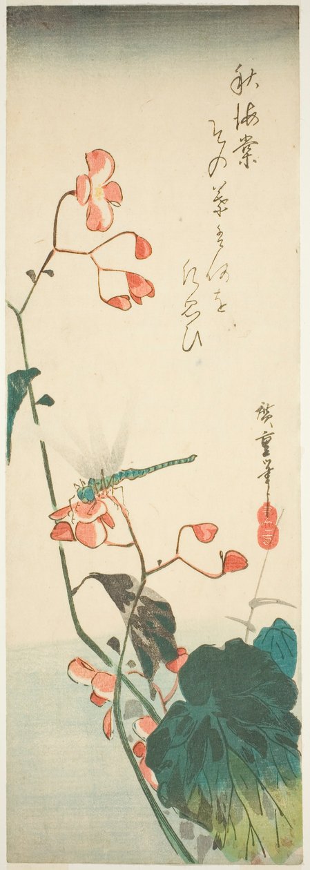 蜻蜓和海棠 作者 歌川宏重