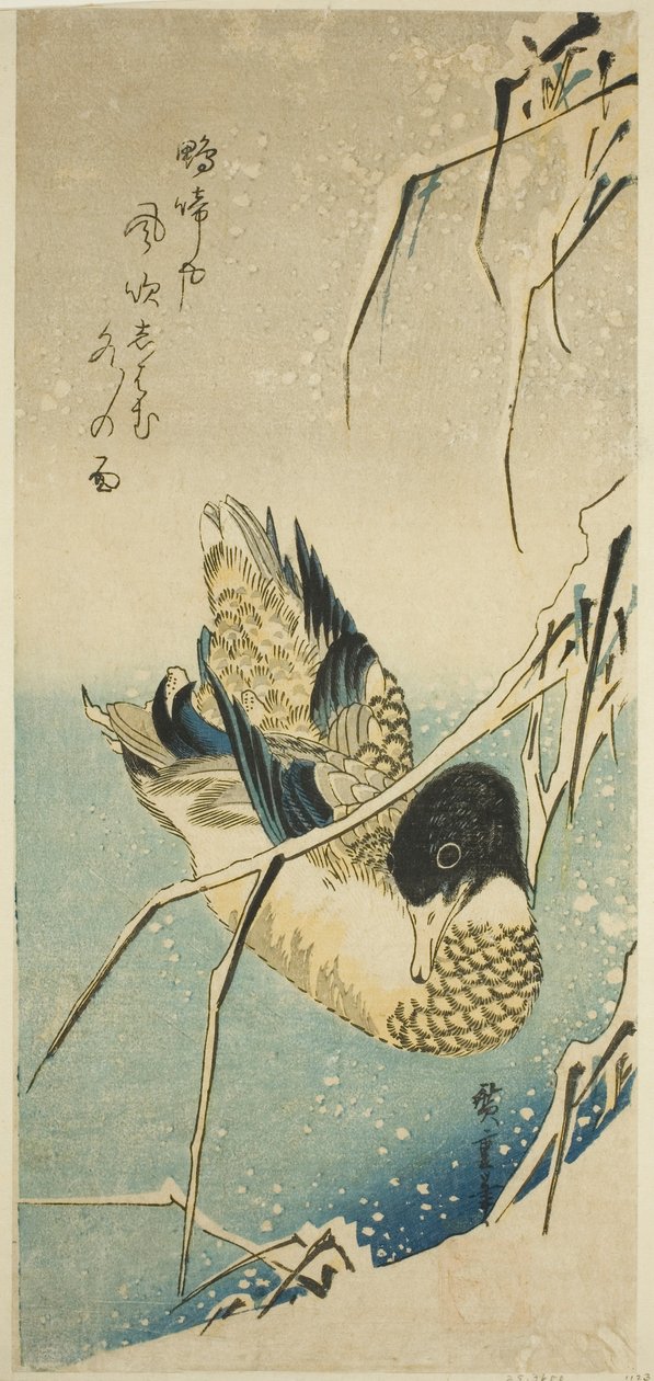 雪地里的鸭子 作者 歌川宏重