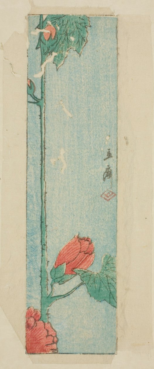 芙蓉花信封 作者 歌川宏重