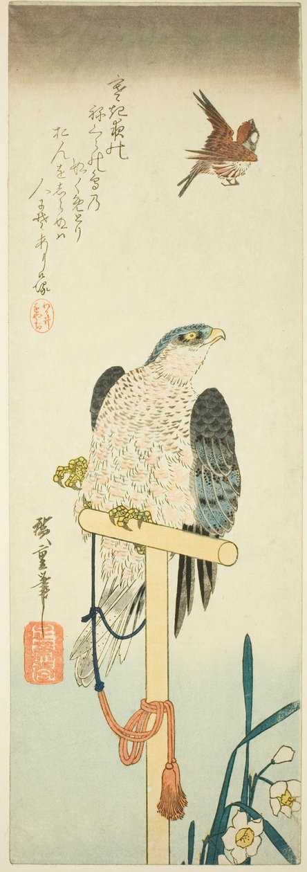 猎鹰、麻雀和水仙花 作者 歌川宏重